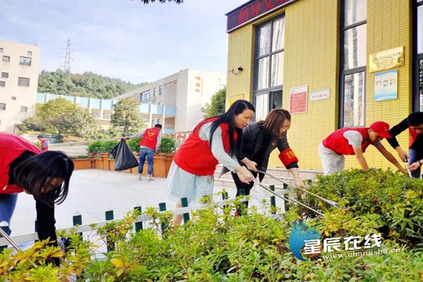 (周南梅溪湖小学志愿者认真清扫校园绿化带.