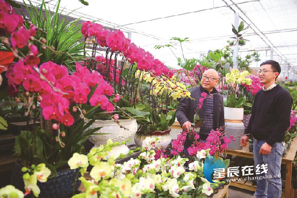星沙花卉市场喜迎2021年开门红