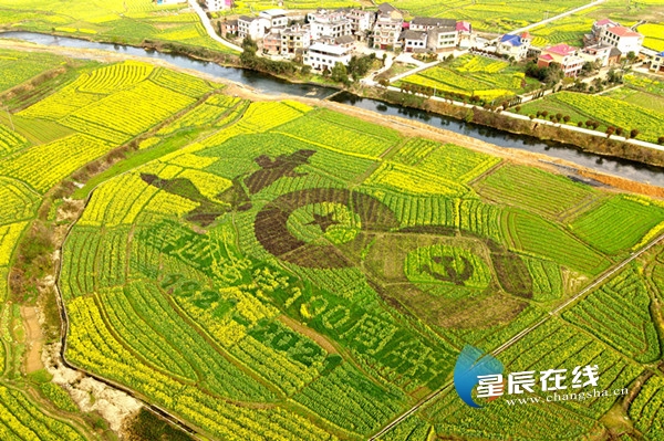 "油菜花儿开 三湘等您来" 2021湖南油菜花节将在5地