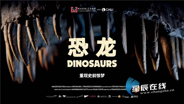 图片[32] - 侏罗纪世界沧龙是哪部完整无删减资源(高清版）完整中字资源已完结 - 影视资源论坛 - 文件资源 - 小轻秀场