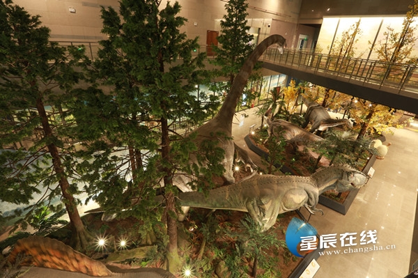 湖南省地质博物馆4月20日向社会全新开放迎首批幸运探馆游客