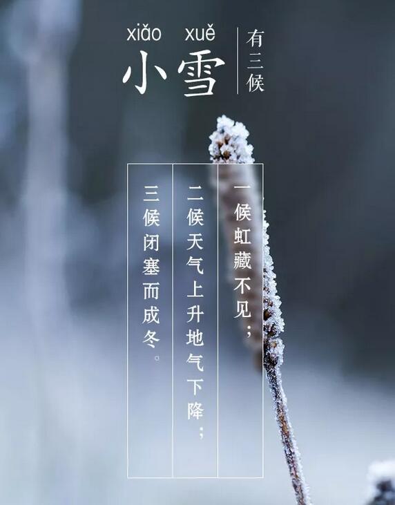 今日小雪:愿你三冬暖,来年春不寒