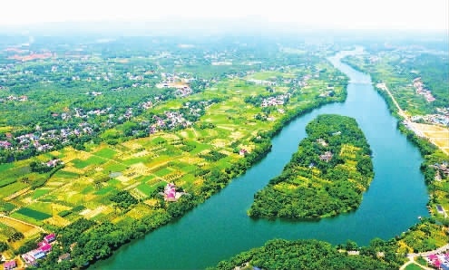 (长沙市农村农业局供图)