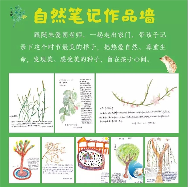 (自然笔记插图.选自《朱爱朝二十四节气自然笔记》一书.)