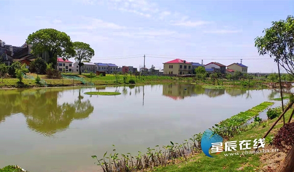 望城湘江村:湖光山色中 村民尽享生态"红利"