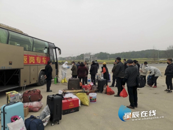 灰汤镇人口_人口普查(2)