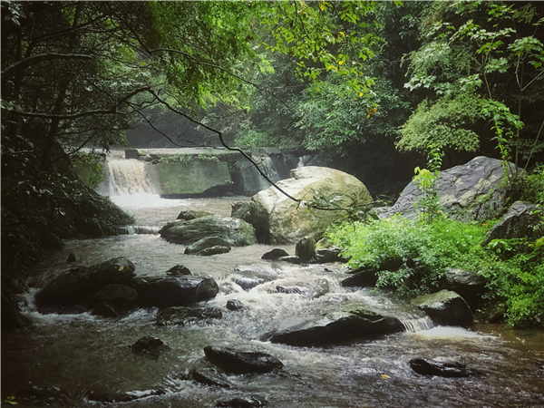 水云间·印象浏阳③雨中周洛：何妨吟啸且徐行