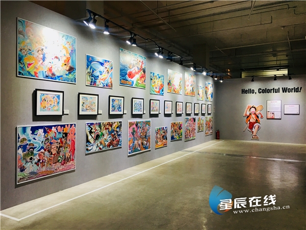 Hello One Piece 世界级漫画ip 航海王 官方大展长沙站开展 星辰头条