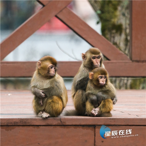 document_news_content_60123b2160bae_watermark1.jpg
