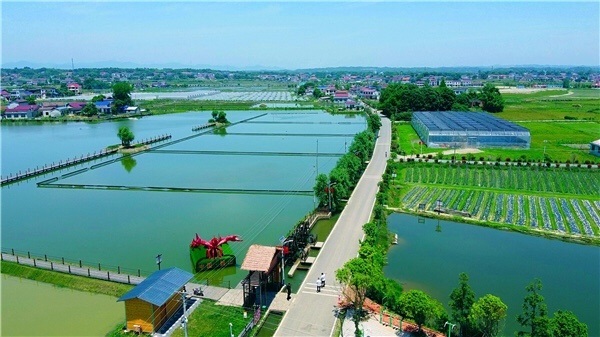 经营性麻将馆清零全省典范大成桥是如何炼成的