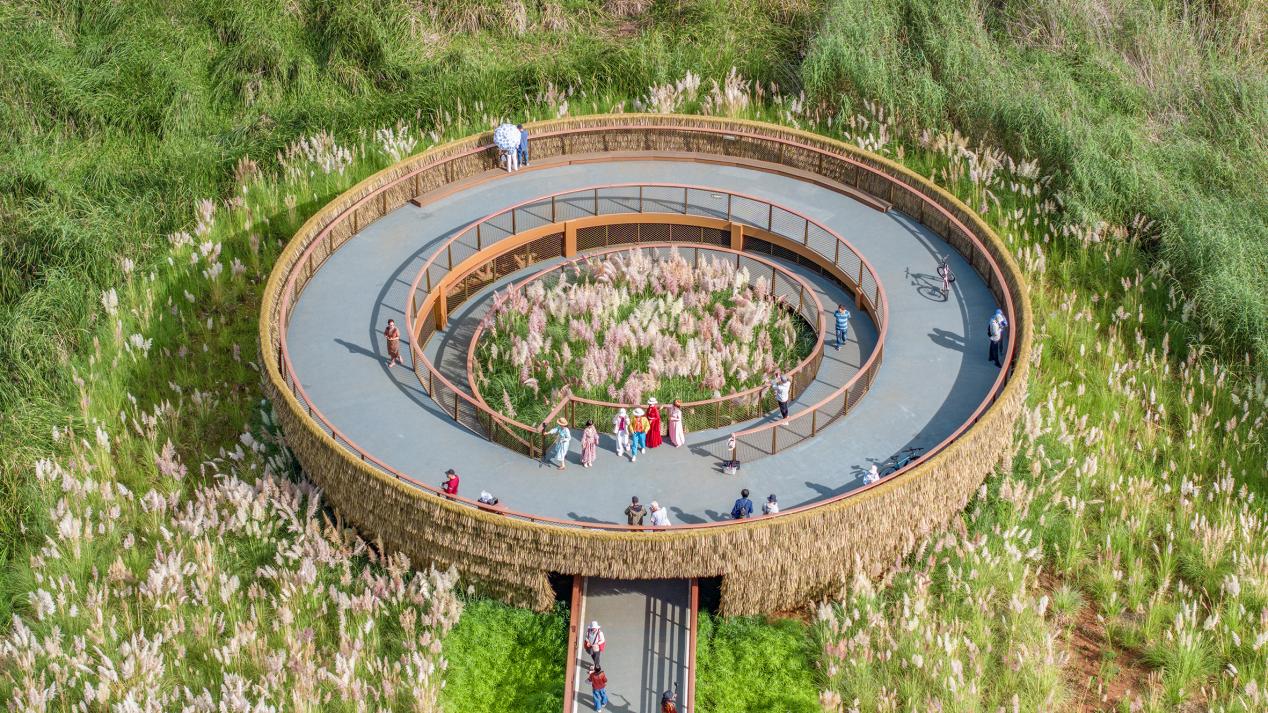 1b84227587790aeb5c422ace1cc2e449