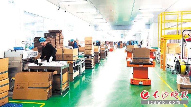 　　贝恩医疗中南总部包装车间，工人正忙着给产品打包。  长沙晚报全媒体记者 颜开云 摄