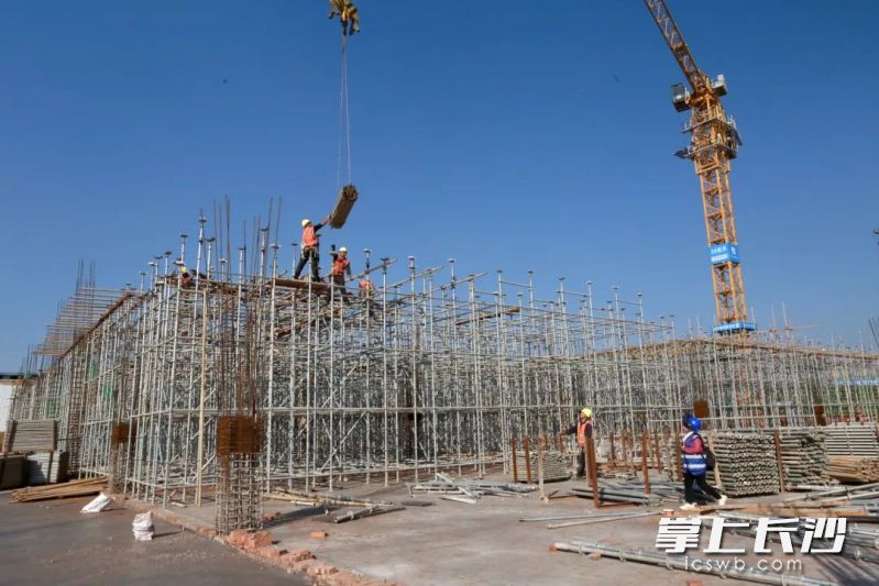 玉湖冷链（长沙）交易中心项目建设现场。 均为长沙晚报通讯员李丹供图