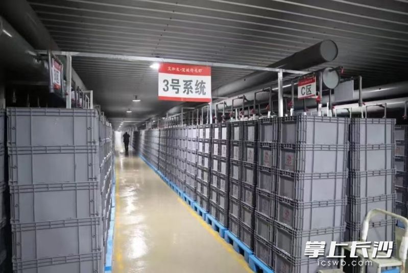 文和友生态屯养基地内。