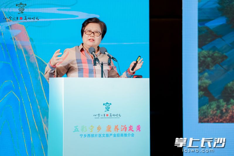 粤港澳大湾区商业联合会总会主席朱新兰激情演讲,深度解析宁乡如何将资源优势转化为发展动能。