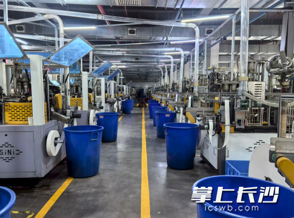 世通生活无人化流水线。 长沙晚报全媒体记者 刘洋 摄