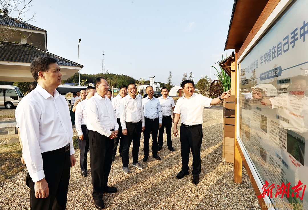 （毛伟明在“四高”试验示范区春华基地了解粮食生产情况。）