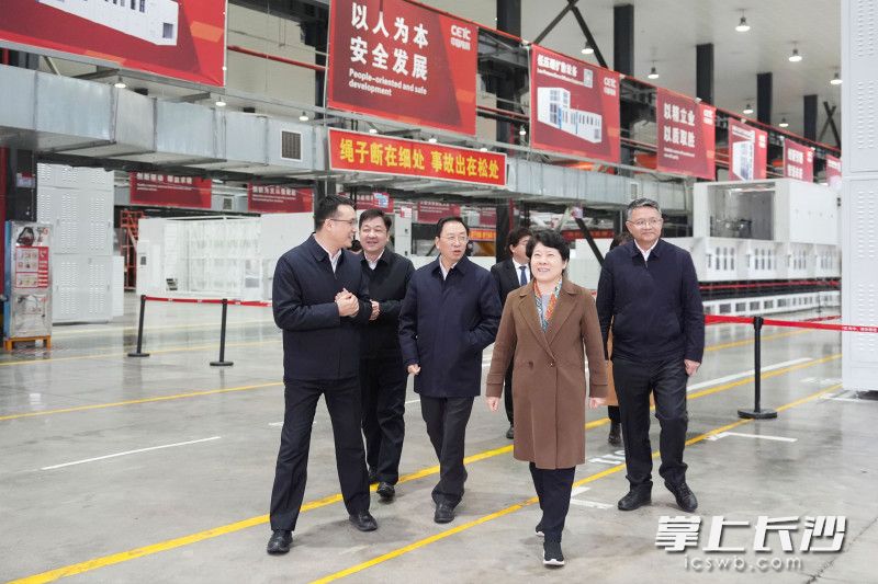 湖南红太阳光电科技有限公司调研现场。