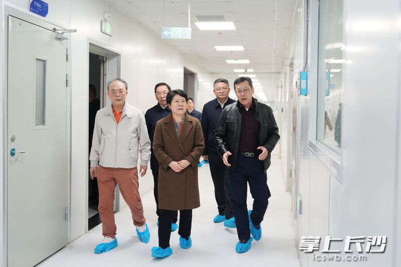 吴桂英来到湖南三安半导体有限责任公司。 均为长沙晚报全媒体记者郭雨滴摄