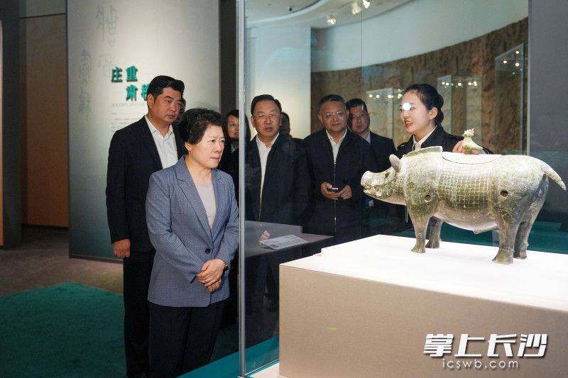 梅溪湖艺术博物馆调研现场。