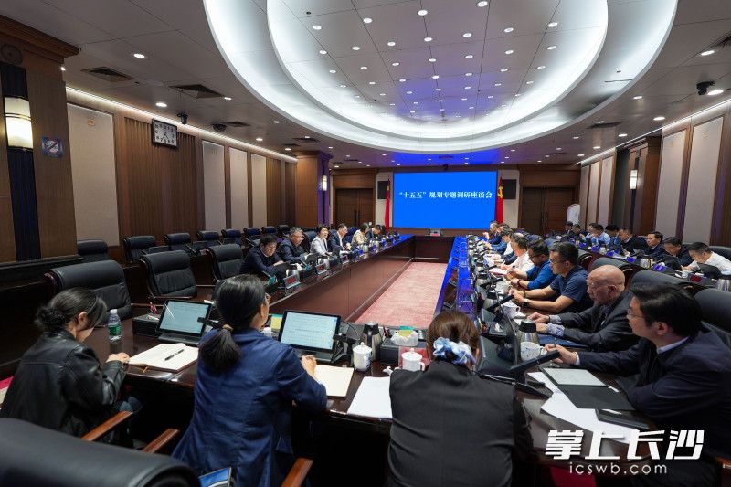 8日，吴桂英主持召开调研座谈会。 均为长沙晚报全媒体记者郭雨滴摄