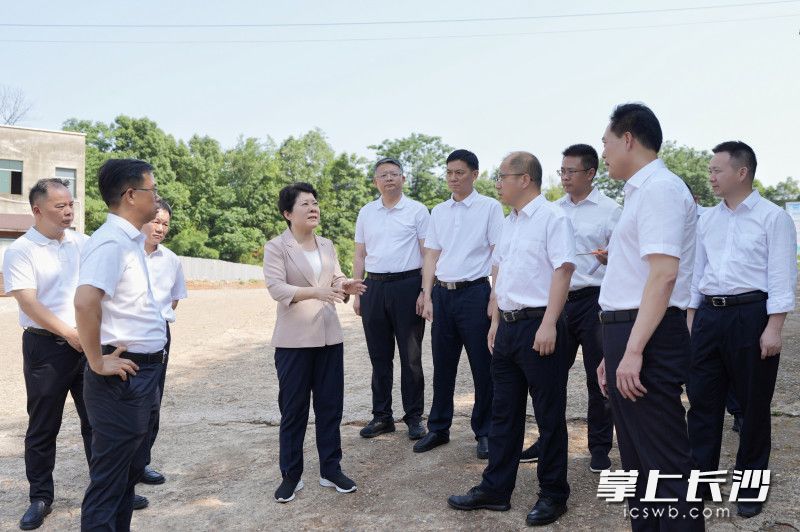 5月26日,省委常委、市委书记吴桂英专题调研重大基础设施项目建设推进情况,现场了解长吉高速长沙至安化段项目进展。