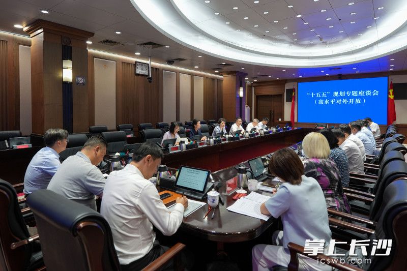 座谈会现场。 均为长沙晚报全媒体记者郭雨滴摄