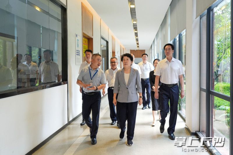 7月7日,省委常委、市委书记吴桂英在宁乡市调研,来到湖南中伟新能源科技有限公司。