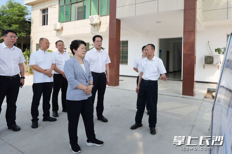 吴桂英在双江口镇闸坝湖垸督导防汛抗旱工作。