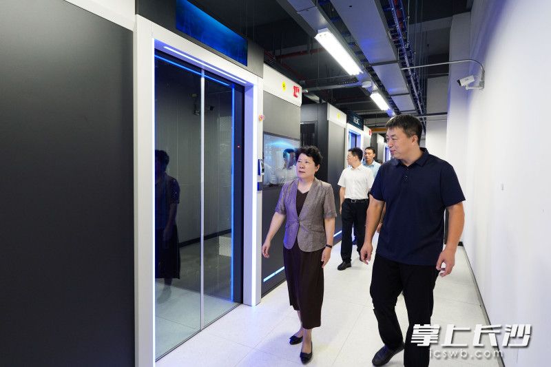 会前，吴桂英围绕长沙新一代计算系统产业链发展情况开展调研，走进国家计算机网络应急技术处理协调中心湖南分中心。