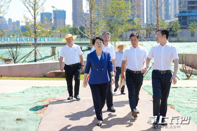 圭塘河植物园段综合治理项目调研现场。