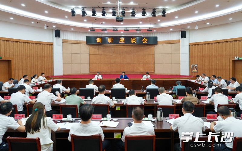 座谈会现场。均为长沙晚报全媒体记者 郭雨滴 摄