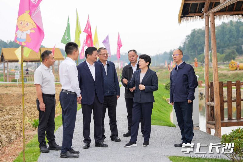 11月7日,省委常委、市委书记吴桂英在长沙县调研粮食安全、乡村振兴工作,来到开慧镇“我在开慧有丘田”项目现场。