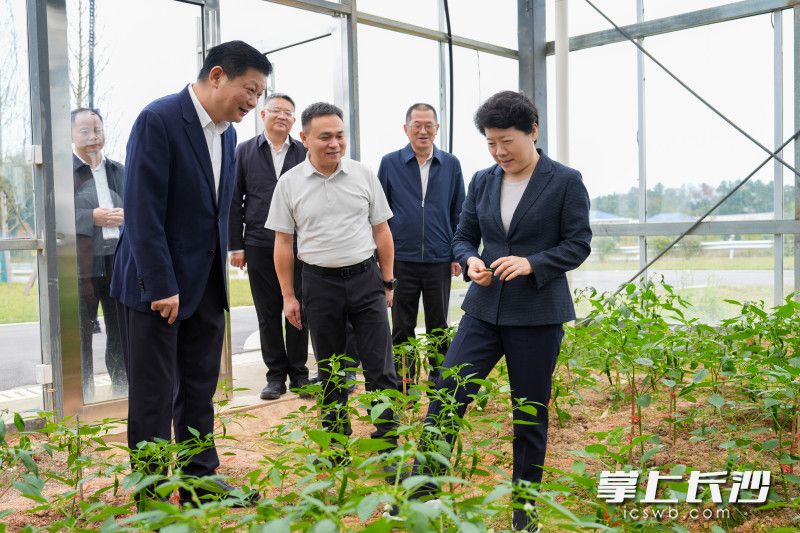 长沙县区域化农事综合服务中心调研现场。