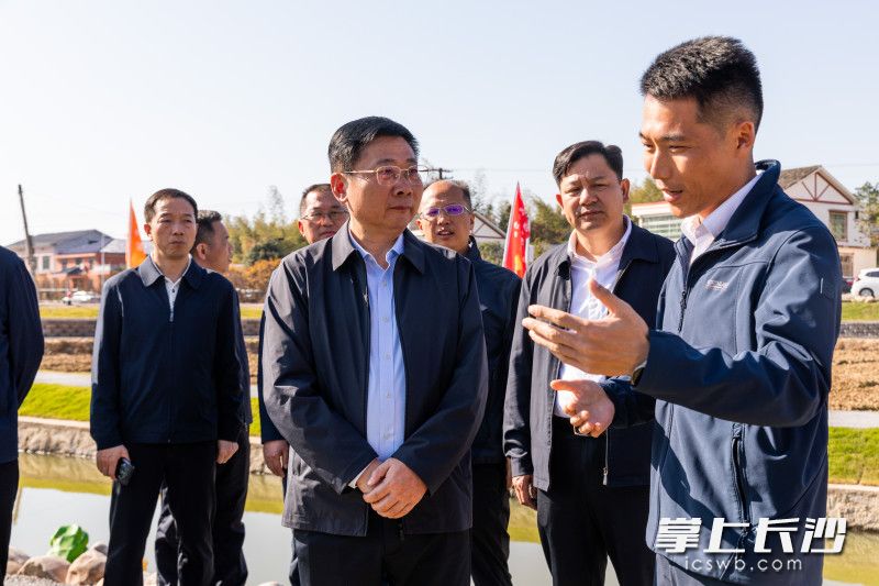 11月30日下午,市委副书记、代市长陈博彰在长沙县“我在开慧有丘田”体验中心调研。