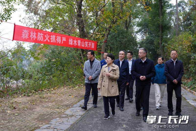 岳麓山巡林现场。 均为长沙晚报全媒体记者 郭雨滴 摄