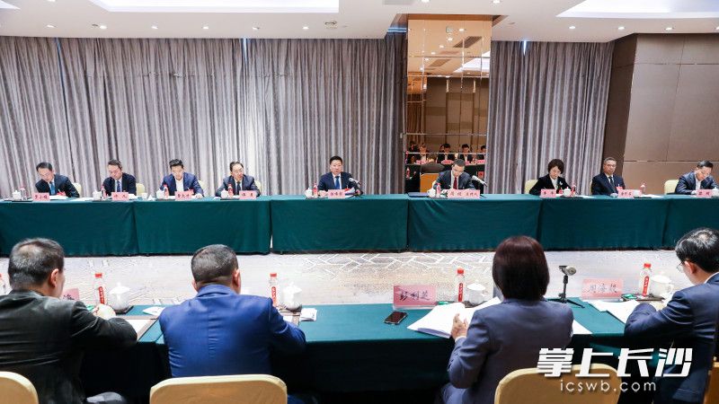 陈博彰参加岳麓区代表团审议。