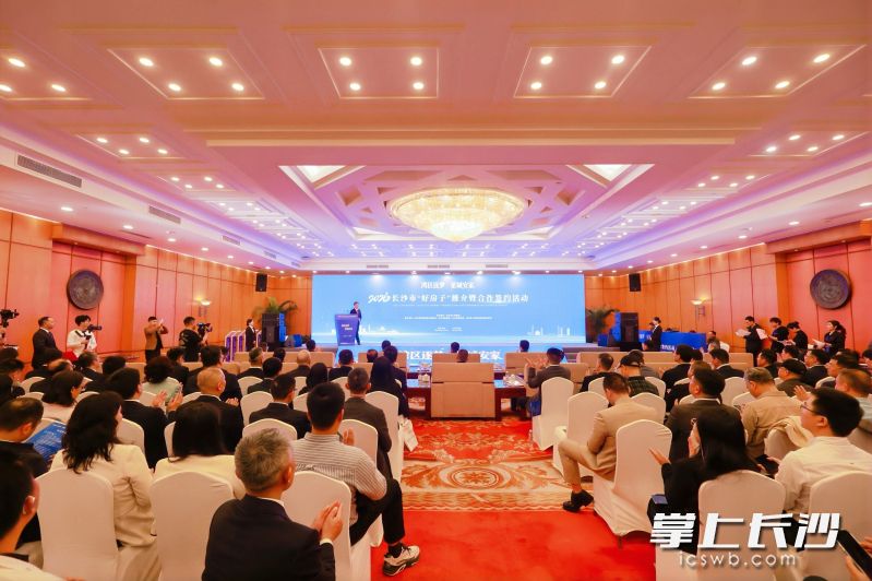 活动现场。均为主办方供图