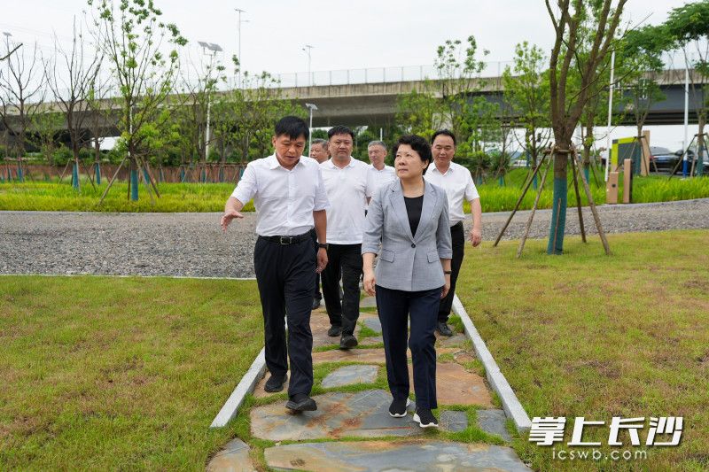 吴桂英来到位于雨花区跳马镇的长株潭生态绿心“一厅一道”项目建设现场。