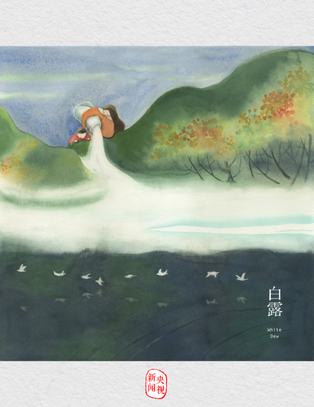 白露插画.png