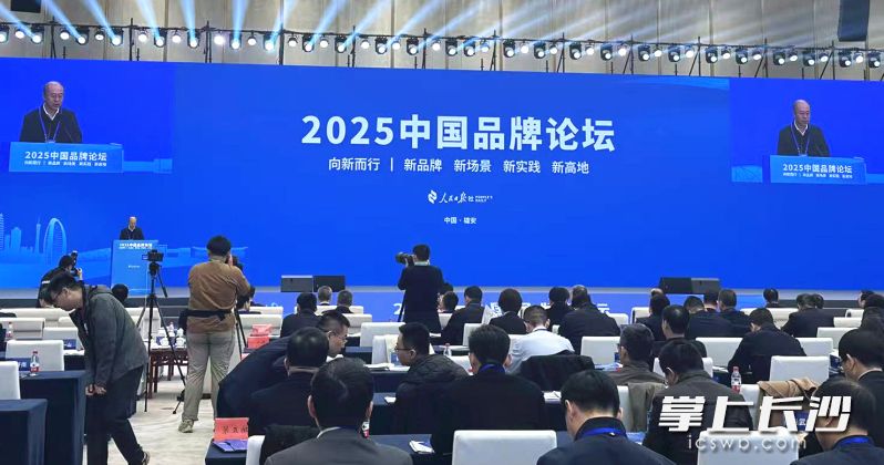 2025中国品牌论坛上,分享了长沙品牌建设经验。 长沙晚报通讯员 段佑长 供图