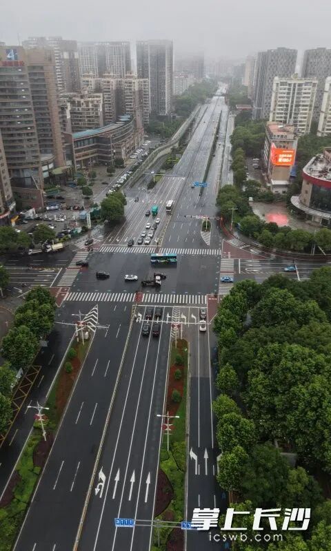 芙蓉中路沿线。