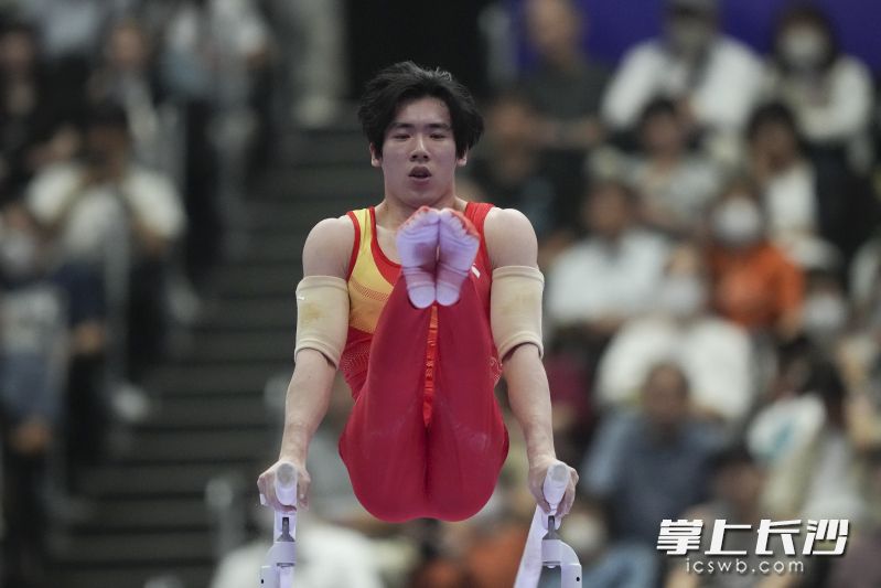 张博恒在双杠比赛中。