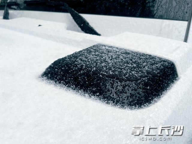 车辆上覆盖了&ldquo;冰粒子&rdquo;。 长沙晚报全媒体记者 舒元臻摄