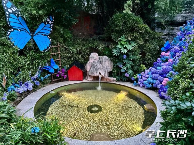 温泉 均为长沙市文旅广电局 供图