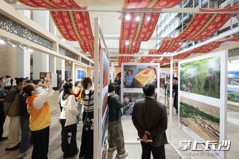 本次摄影展汇集了吐鲁番各类摄影者的优秀作品，他们当中，既有专业摄影师、新闻记者，也有普通的摄影爱好者。