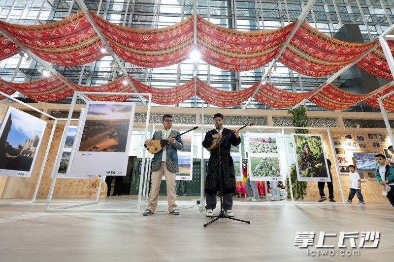 现场的音乐表演。