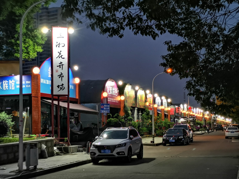 提质改造后的三湘花卉市场。 照片均为长沙晚报通讯员 龚俊钦 摄