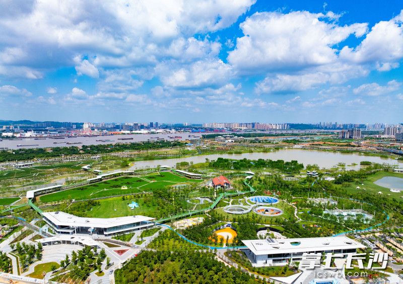 蓝天白云下的大泽湖近自然湿地公园。 均为长沙晚报全媒体记者邹麟、刘晓敏摄