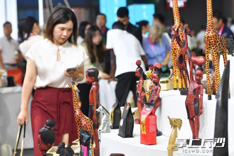 今天，第四届中非经贸博览会在长沙国际会展中心启幕。均为长沙晚报全媒体记者 王志伟 摄